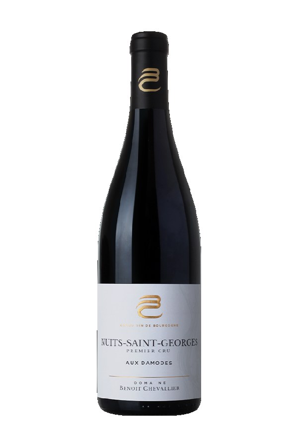 Bottle of Domaine Benoit Chevallier Nuits Saint Georges 1er Cru les Damodes 2023