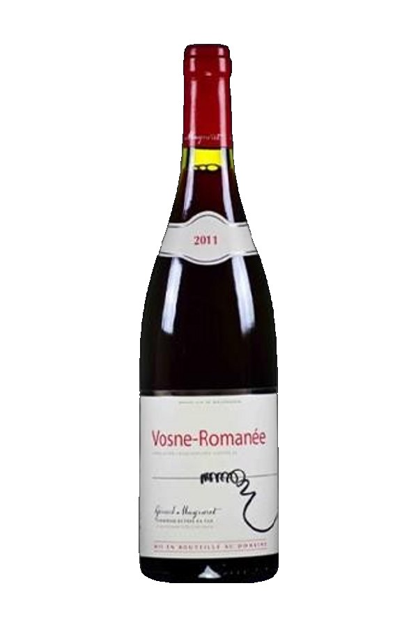Bottle of Gerard Mugneret Domaine Gerard Mugneret Bourgogne Pinot Noir 2016