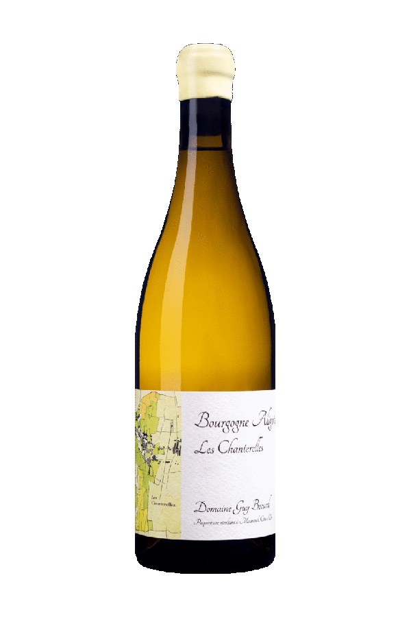 Bottle of Domaine Guy Bocard Bourgogne Aliote les Chanterelles 2020