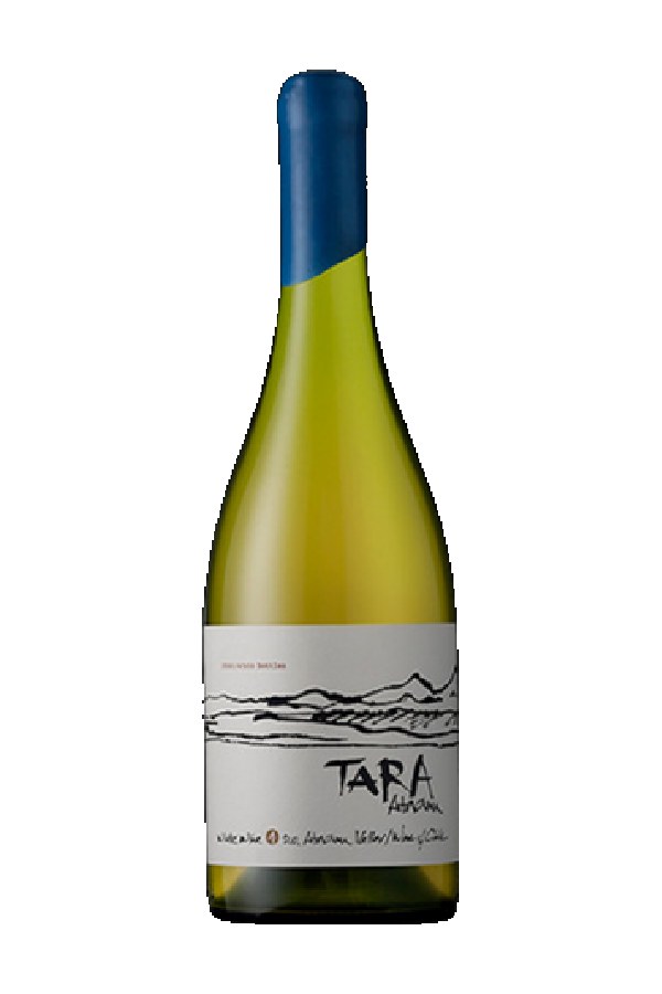 Bottle of Tara Chardonnay Do Atacama Valley 2022